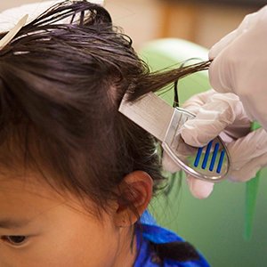 Our technicians will do a thorough comb-out at our lice treatment center.